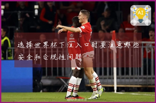 选择世界杯下注入口时要注意哪些安全和合规性问题