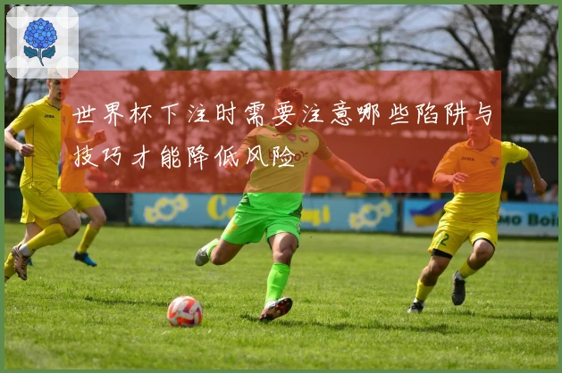 世界杯下注时需要注意哪些陷阱与技巧才能降低风险