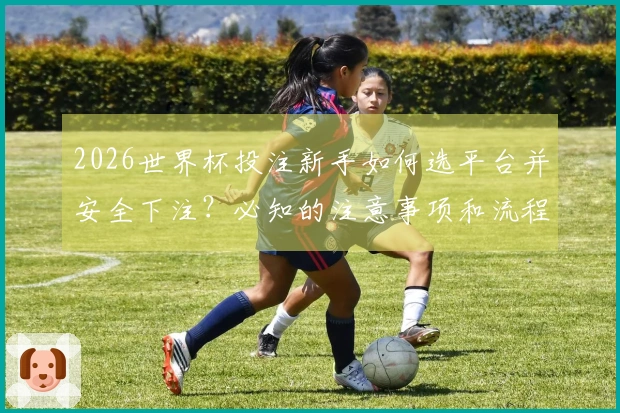 2026世界杯投注新手如何选平台并安全下注？必知的注意事项和流程解析