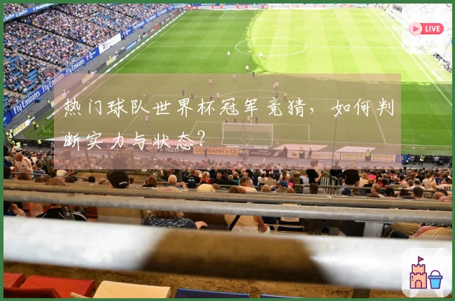 热门球队世界杯冠军竞猜，如何判断实力与状态？