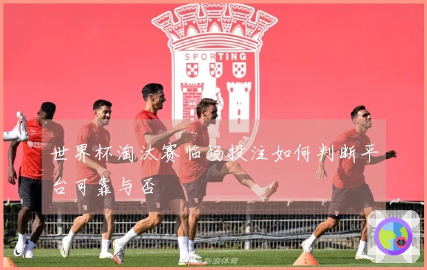 世界杯淘汰赛临场投注如何判断平台可靠与否