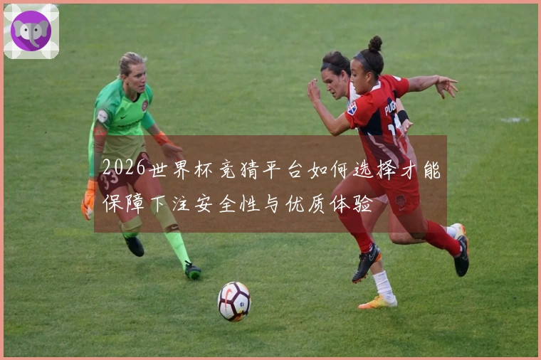 2026世界杯竞猜平台如何选择才能保障下注安全性与优质体验