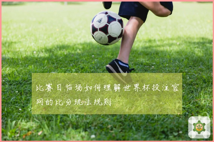 比赛日临场如何理解世界杯投注官网的比分玩法规则