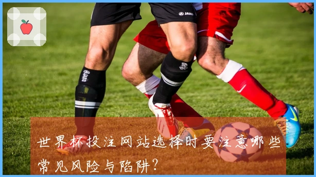 世界杯投注网站选择时要注意哪些常见风险与陷阱？