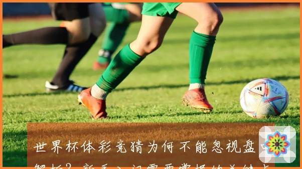 世界杯体彩竞猜为何不能忽视盘口解析？新手入门需要掌握的关键点有哪些