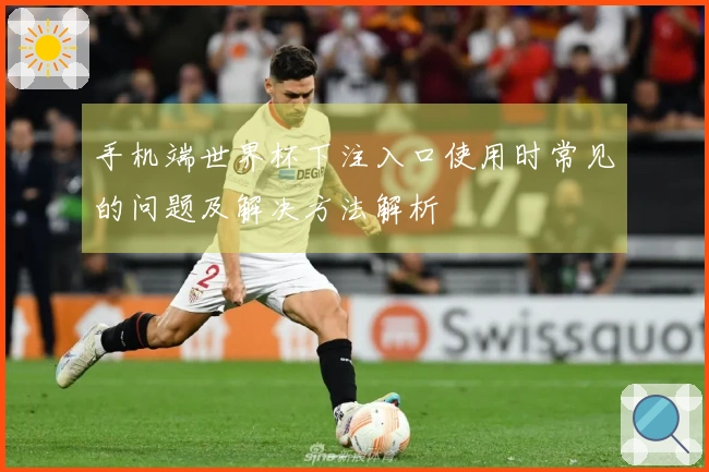 手机端世界杯下注入口使用时常见的问题及解决方法解析