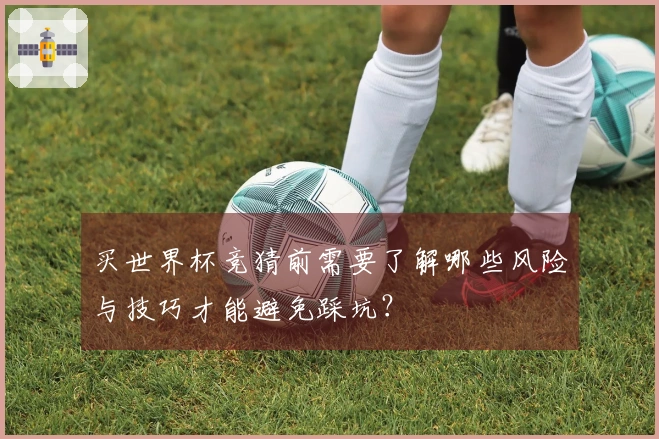 买世界杯竞猜前需要了解哪些风险与技巧才能避免踩坑？