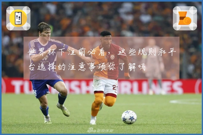 世界杯下注前必看，这些规则和平台选择的注意事项你了解吗