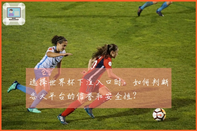 选择世界杯下注入口时，如何判断各大平台的信誉和安全性？