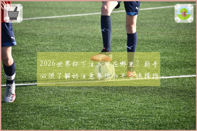 2026世界杯下注入口在哪里?新手必须了解的注意事项和平台选择指南