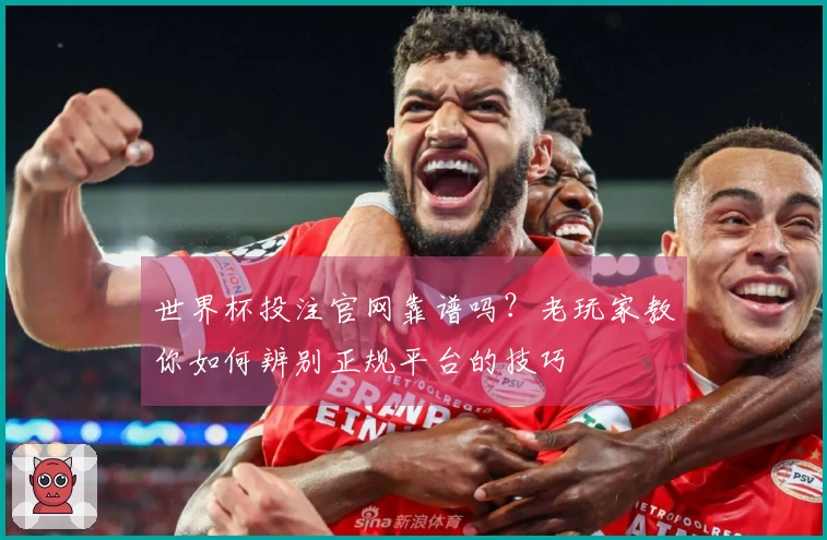 世界杯投注官网靠谱吗?老玩家教你如何辨别正规平台的技巧