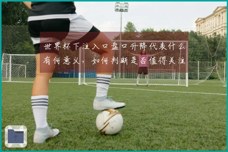 世界杯下注入口盘口升降代表什么有何意义，如何判断是否值得关注