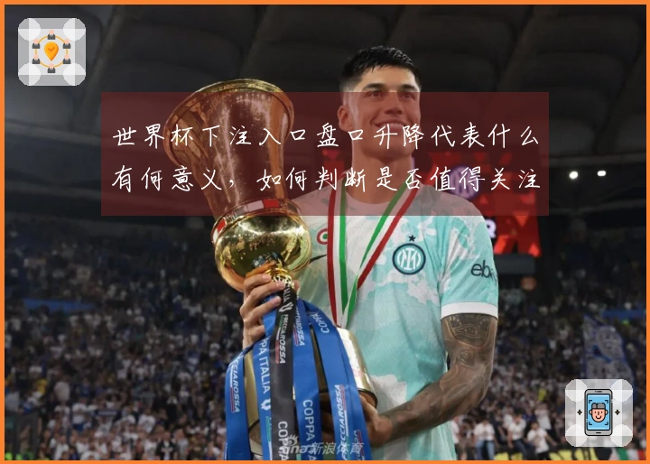 世界杯下注入口盘口升降代表什么有何意义，如何判断是否值得关注