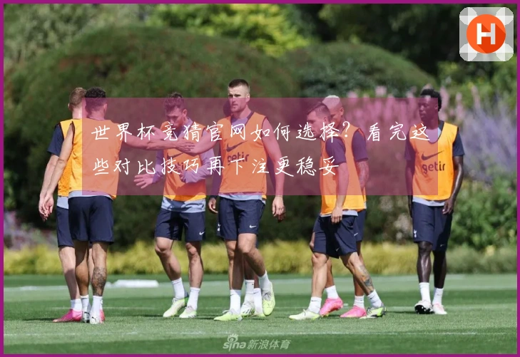 世界杯竞猜官网如何选择?看完这些对比技巧再下注更稳妥