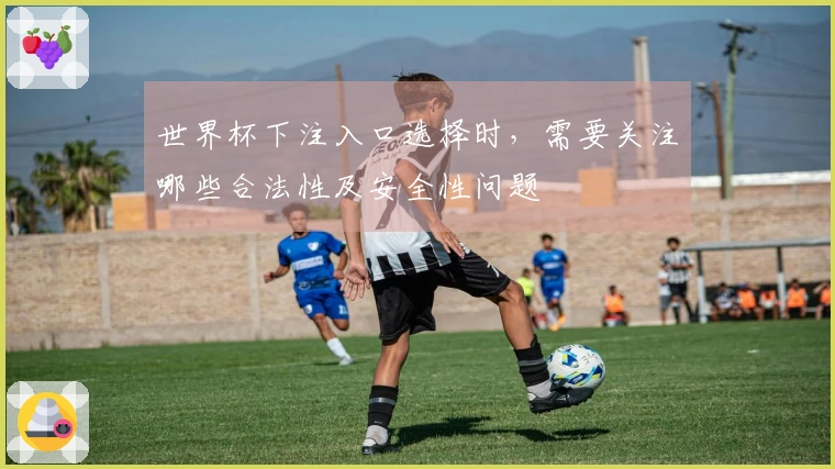 世界杯下注入口选择时，需要关注哪些合法性及安全性问题