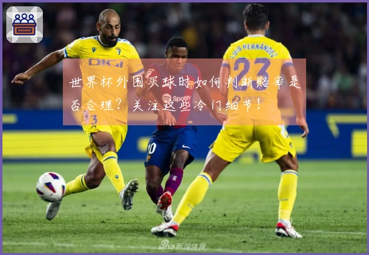 世界杯外围买球时如何判断赔率是否合理？关注这些冷门细节！