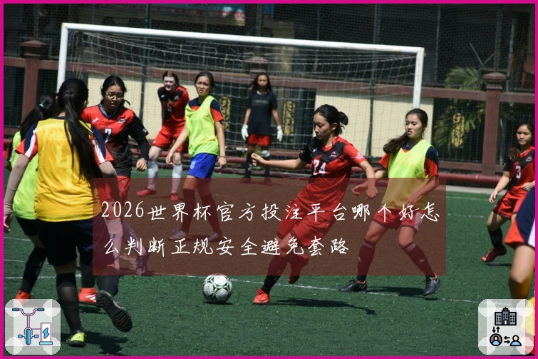 2026世界杯官方投注平台哪个好怎么判断正规安全避免套路
