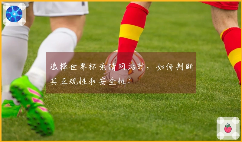 选择世界杯竞猜网站时,如何判断其正规性和安全性?