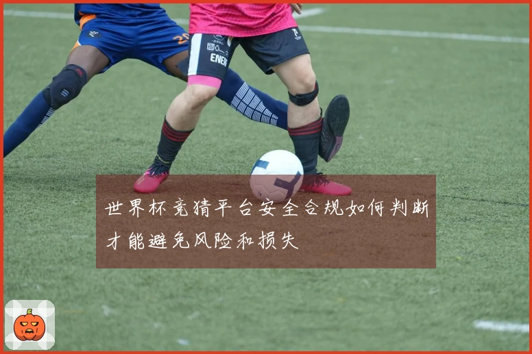 世界杯竞猜平台安全合规如何判断才能避免风险和损失
